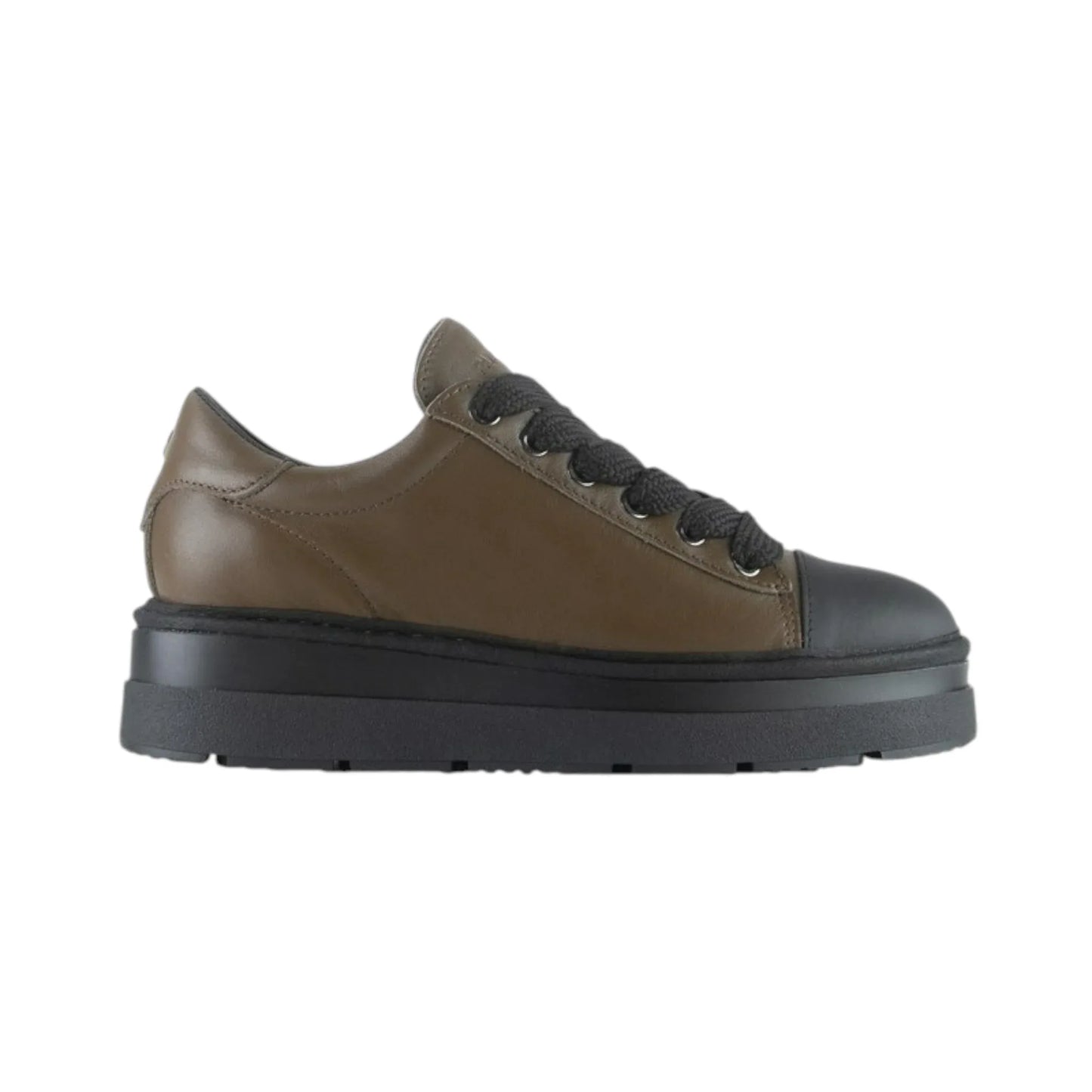 Panchic Lace-up shoe rubberized leather