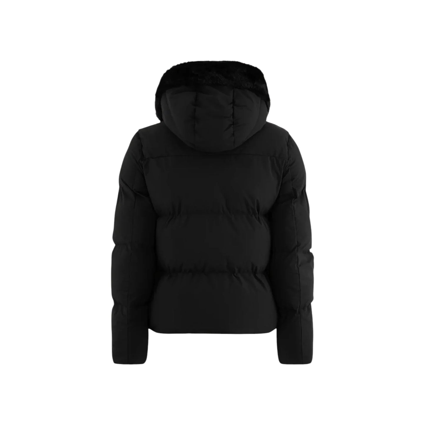 Suns Jacket Ginan